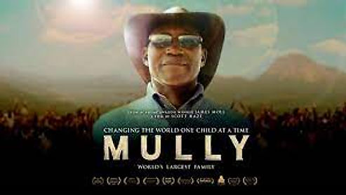 Dokumentation Mully - Voice Over